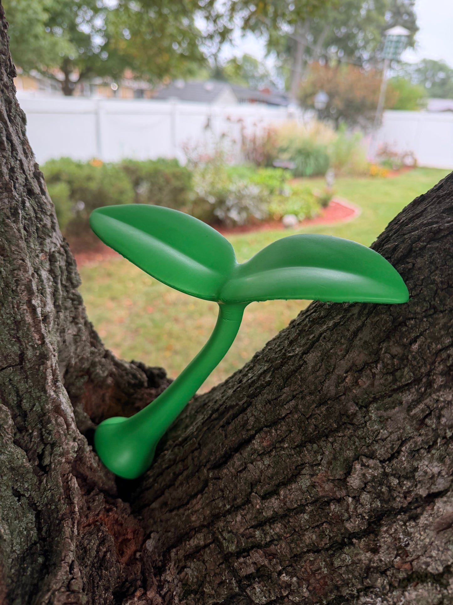 JUMBO CAR Sprout